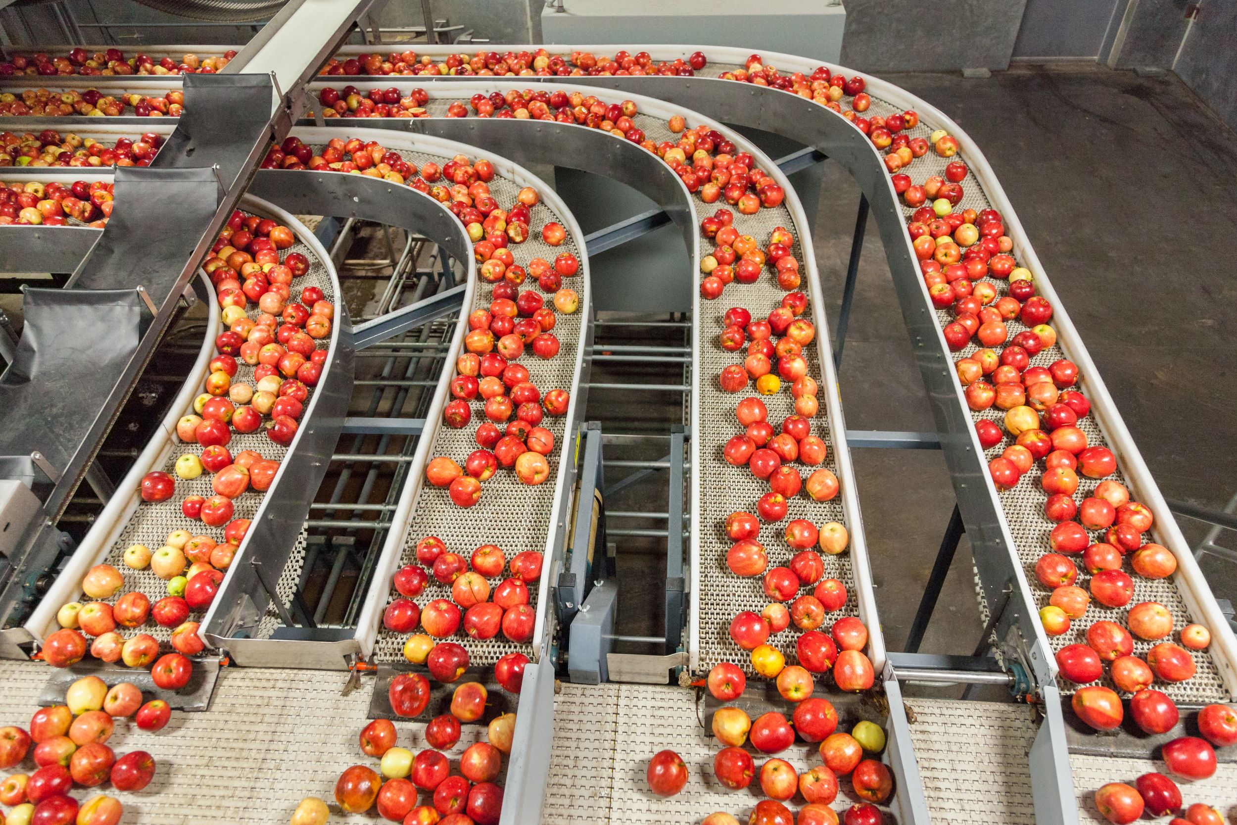 Apple production and processing facility.